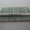 Hot sale 16GA silver finishing concrete T Brads Nails