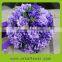 2016TouchHealthy Supply High Germination Eustoma Flower For Sowing