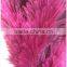 high quality Ostrich Feather Computer Duster