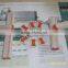 Single Color Or Double color Pet Chewing Gum Equipment/Machine