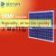 50W 100W 150W poly painel solar China manufacturing industrial panels solar