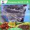 Hot selling machine in Indonesia and Africa,Palm FFB oil process equipment with ISO,BV,CE