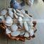 delicious chinese snow white pumpkin seeds at competitive price