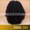 New Ombre Black Color Cosplay Wig Long Curly Wavy Glueless Full Head Coustume Wig