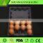 disposable egg tray