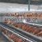 Design Egg Layer Cage Equipment with Auto Water System Hot Sale in Kenya