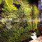 Cheap home decor artificial grass wall , plant wall , green wall