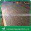 BLUE HORSE High Quality FULL LARCH PLYWOOD 4.5mm