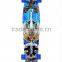 New Roller Skate Board , Long board , Custom Skateboard