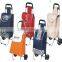Suppermarket foldable shopping trolley bag