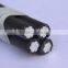 Manufacturer Electric Conductor with High quality