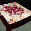 100% polyester wholesale thermal protection container home mink china supplier double layer mink blanket