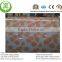 Flower Color Coated Steel Coil-galvanized Steel