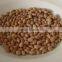 2014 canned pinto beans in brine product with best price