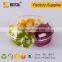 PET disposable fresh salad packing container