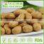 HACCP,ISO,BRC,HALAL Certification Natural Wasabi Peanuts with best quality and hot price