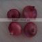 2015 crop fresh red onions for sales with market price