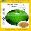 GMP Manufacturer Supply High Quality Nuciferine from Lotus Leaf Extract
