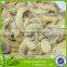 Chinese Canned King oyster mushroom