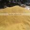 Top 1 selling in Pakistan No Stone,High Purity High Hotness China Hybird Pepper Seeds Exporter