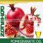 Pomegranate oil has effects of antioxidantion
