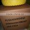 350-8 pu Handtruck Wheel