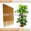 2017 New garden coconut plant support poles
