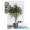 2016 hot sale Self-Watering System plastic planter pots,garden flower pot,interior decor planter