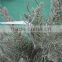 long life time 4 foot fake christmas tree artificial christmas tree in pot