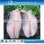 Top quality and competitive price CO treated ivp frozen tilapia fillet