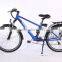 Factory price Best-selling Cheap Electric Mountain Bike for sale