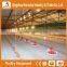 Heracles factory price best selling equipment poultry- flooring chicken feeding and drinking line for broiler