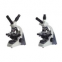 biological microscope