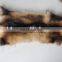 Factory wholesale raccoon skins