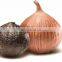 Commerical fermented black garlic fermenting machines box Korean black garlic