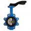 Lug conentric SS304 disc  butterfly valve  Lug double shaft pinless butterfly valve with lever