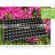 plastic cell seed nursery plug trays