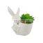Mini Home Decor Cute Rabbit Bunny Easter Head Ceramic Flower Plant Succulent Planters