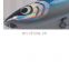 24cm 120g 3D Print  Artificial Bait Suspending Fishing Pencil lures