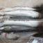 frozen gutted grey mullet frozen grey mullet fish frozen grey mullet price