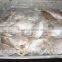 Frozen butterfish in fresh seafood POMPANO