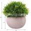 Hot Sale Set 4 Artificial Grass Bonsai Mini Artificial Potted Plants Natural Plant For Indoor Home Decoration