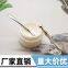 Metal massage stick, eye cream stick, beauty stick, cream scoop scoop, sub-spoons, cosmetics scoop