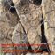 galvanized iron wire