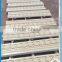 Roman design sandstone corbels