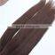 Top Grade Human Hair Keratin fan Tip Remy Human Hair Extensions