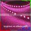 Good price 2835 smd led flexible strip with 5m 300leds,IP68 Waterproof floor light led strip lighting with 2835 60 LED per meter