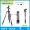 Three color can chioce of lightweight tripod