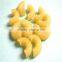 Stainless steel industrial pasta and macaroni machine
