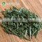 Direct manufacturer new premium tea leaves green tea